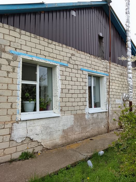 Продам частный дом в пригороде .