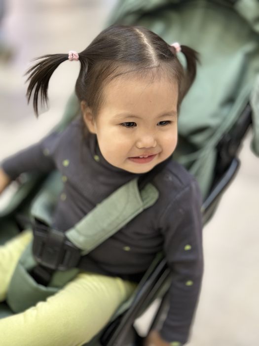 Детская коляска с люльками