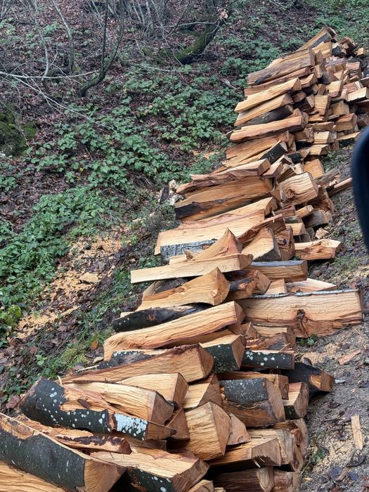 Lemne de foc calitate superioară Verzi/Uscate
