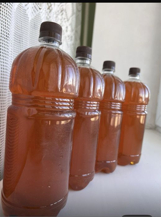 Мёд из Катон-Карагая