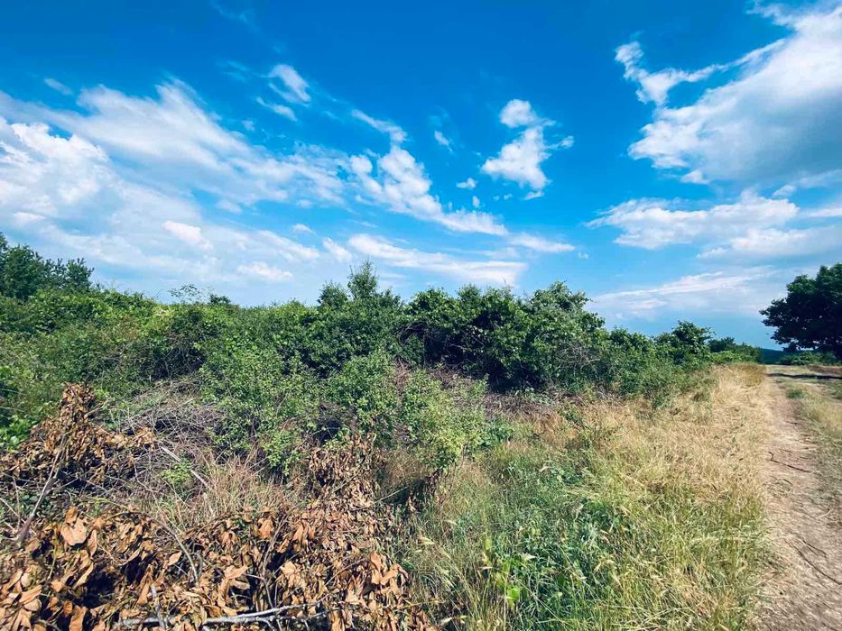 Продава се Земеделски имот в Варна, Възраждане 1 -  кв.м за 30 €/дка - Снимка #6