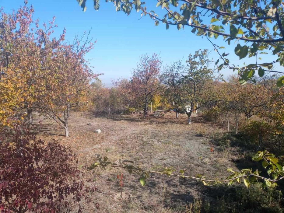 Продава се Къща в с. Паталеница, Област Пазарджик - 22 кв.м за 1500 €/кв.м - Снимка #15