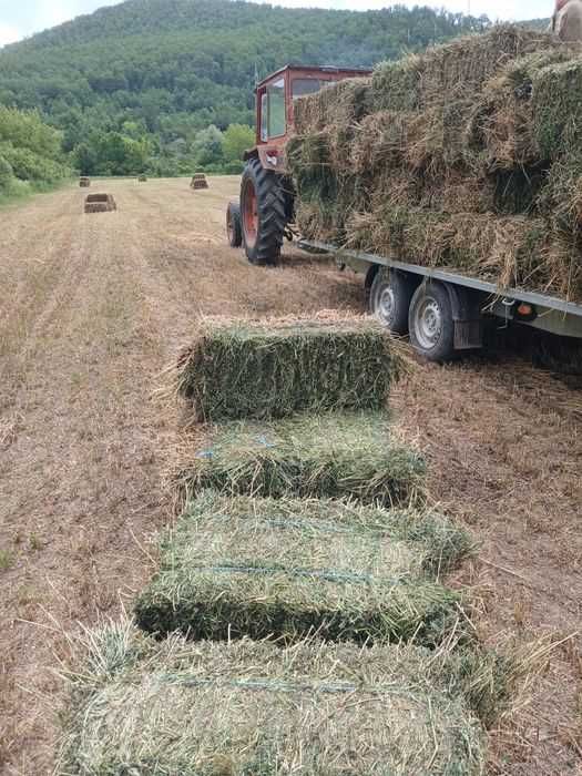 Baloti lucerna coasa a doua si a treia