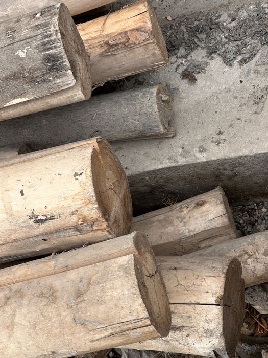 Булорлар сотилади