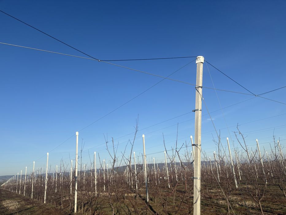 Резитба на овощни градини /озеленяване