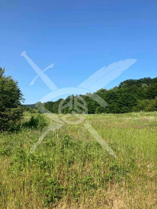 Парцел в с. Долище - 84846