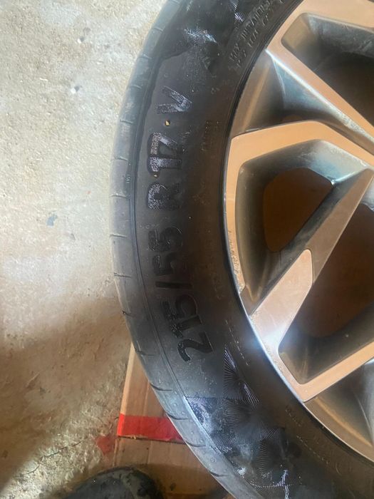 17 донгелек новый