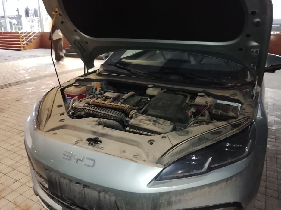 Build your dream seal 06