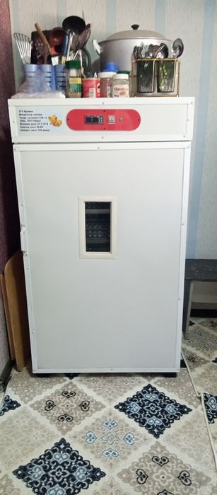 Inkubator  yangi