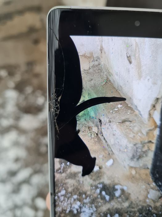 Pixel 6 pro-256 , s20fe-128