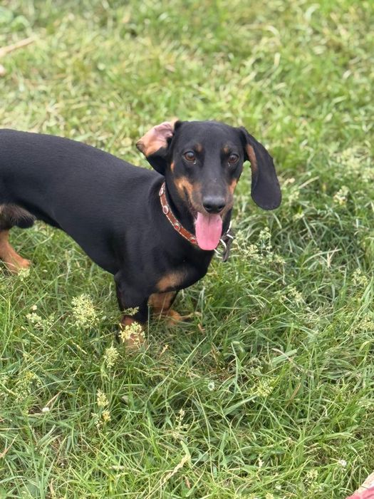 Предлагается для вязки кабель