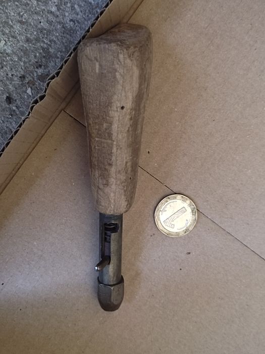 Оса, размер 5, 5