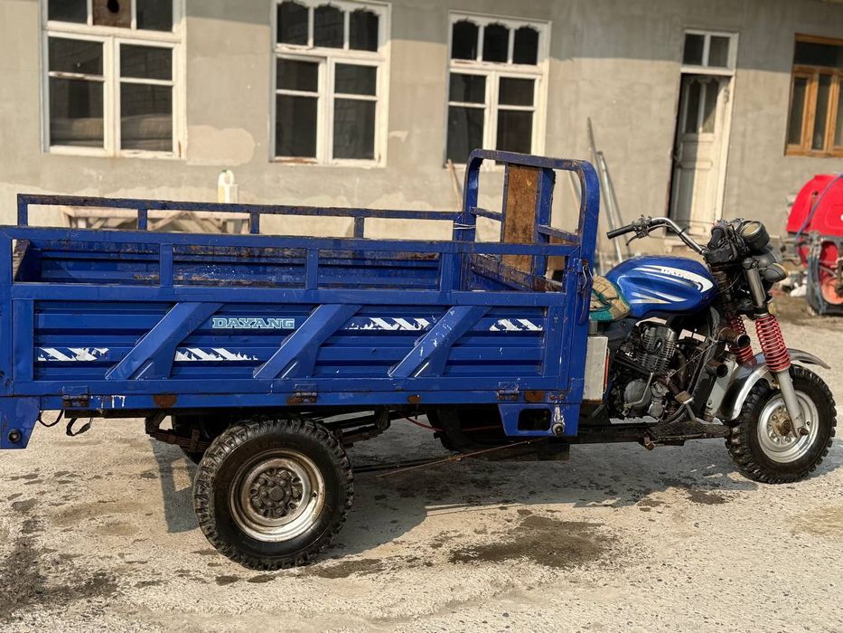 Miravoy dayang 2019