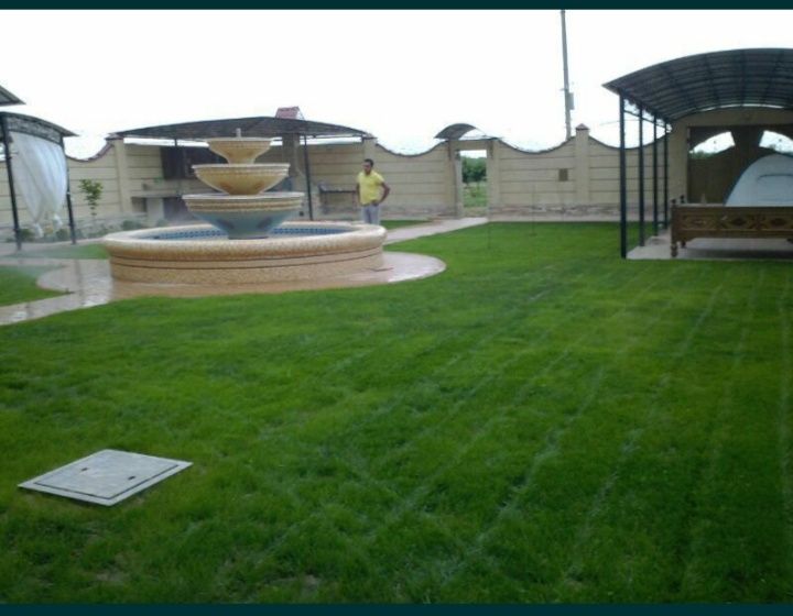 Рулонный газон .посев семян.уход за газоном.