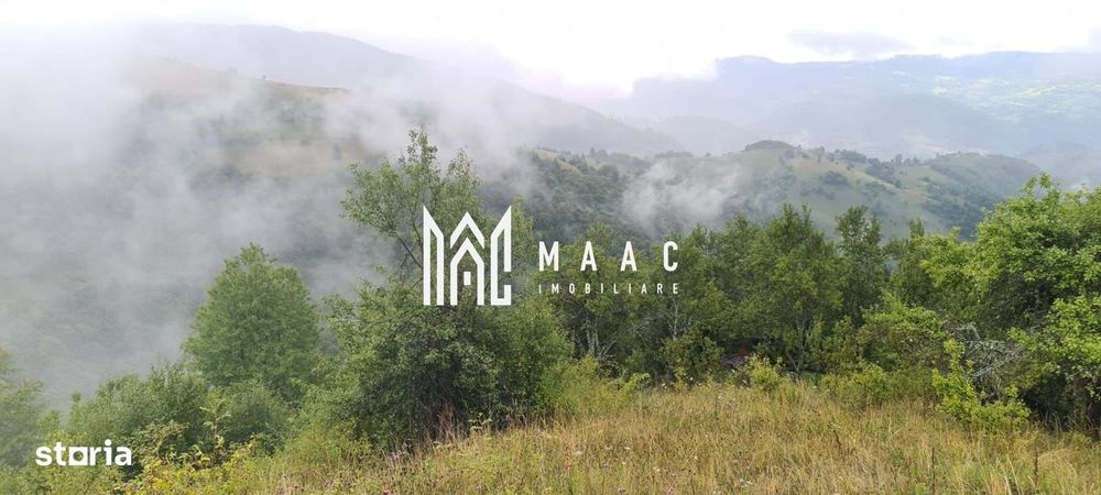 5000 teren in Muntii Apuseni I Pregatit pentru constructie