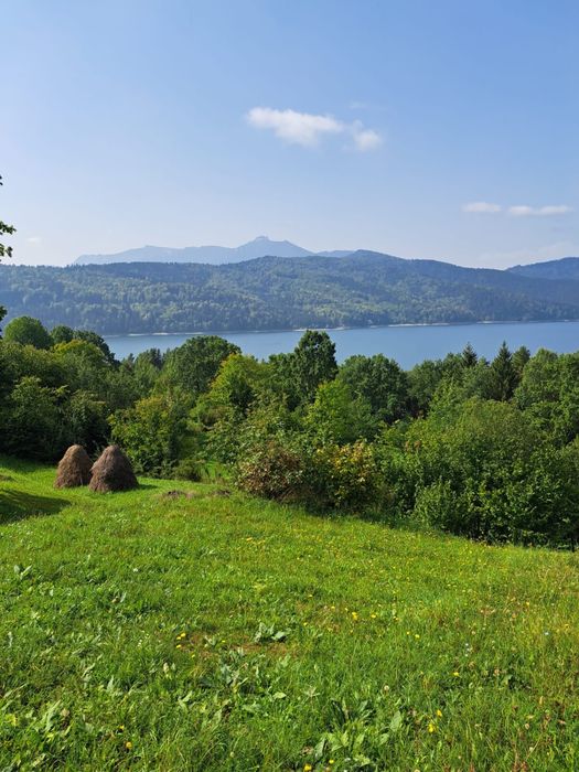 Terenuri intravilane lac Bicaz-Buhalnita,com.Hangu,jud.Neamt