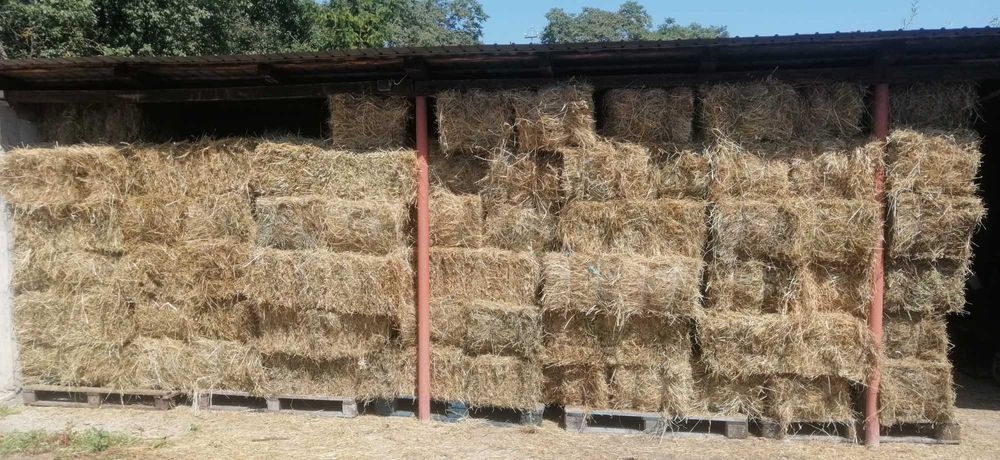 Vând baloți fân dreptunghiulari