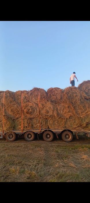 Продам сено с доставкой