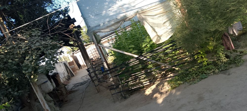 Uy Sotiladi Toshkent viloyati Chinoz tumanida