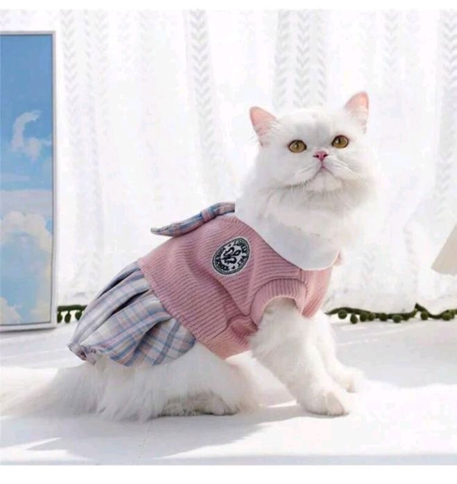 Дрешки за малки кучета и котки от 15лв до 25лв.