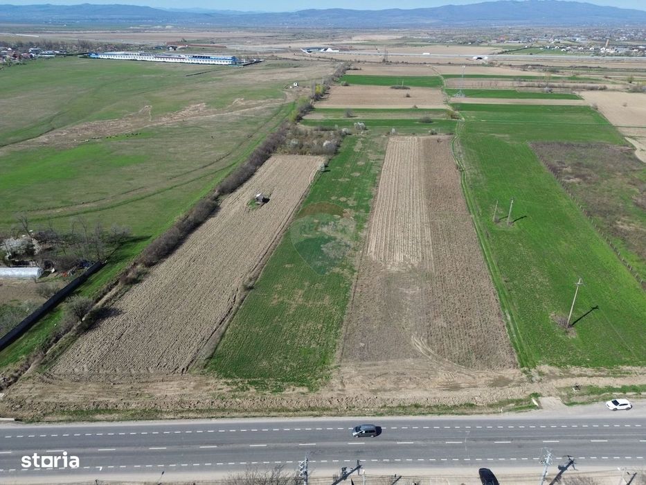 Teren 9,431mp Bizighesti / DJ 205E