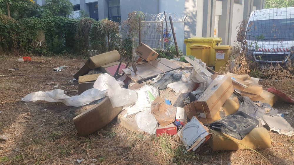 Curatare teren x Igienizare x Salubrizare curti și terenuri x Nivelare