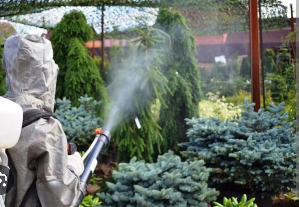 Опрыскивание теретори