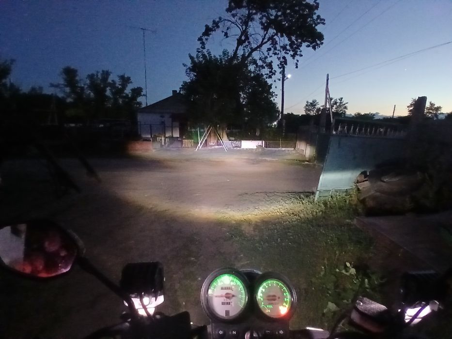 Рейсер      тигр