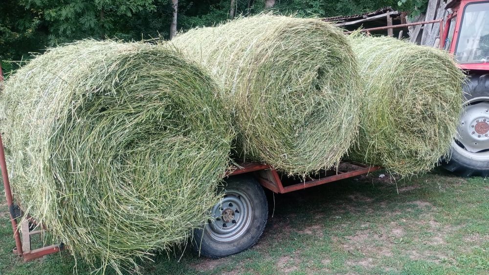 Vând baloți de lucernă rându 4