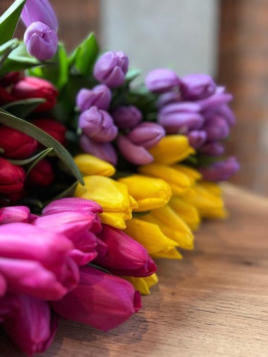 Тюльпаны оптом Астана