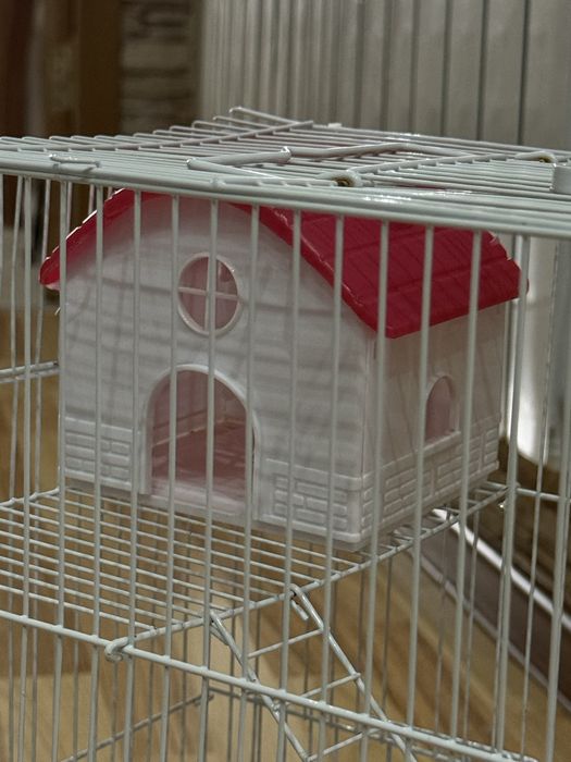 Клетка для хомяка с едой