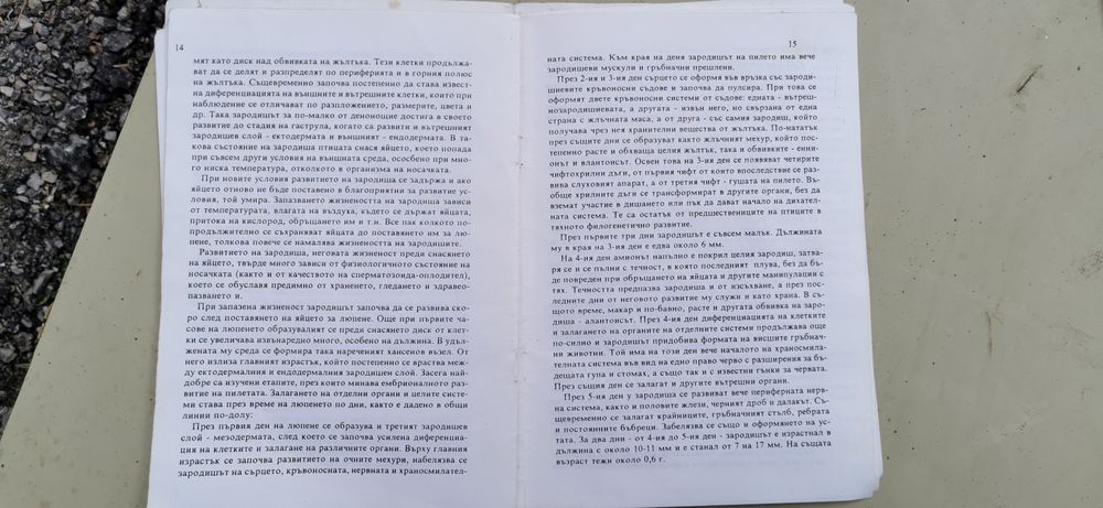 Инкубатор Декада