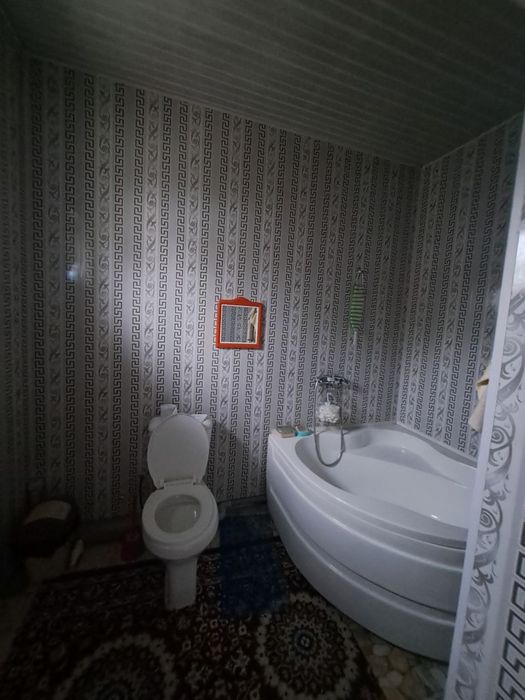 Qozoq kotej sotiladi