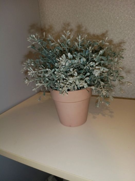 Декоративные кустики