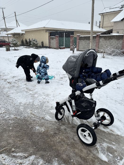 Коляска Адамекс 3/1