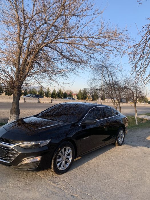 Malibu 2 2019 yil sotiladi