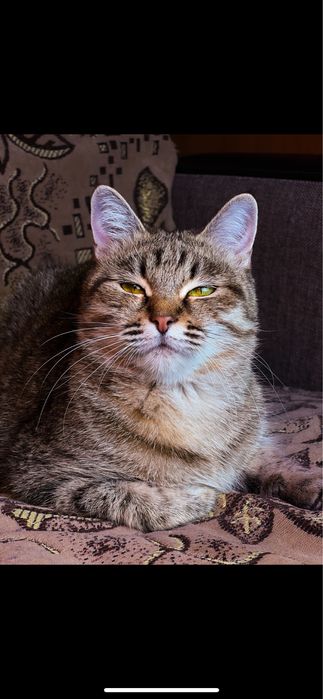 Пухлая красавица в хорошие руки