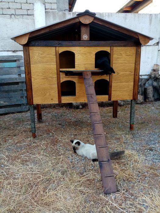 Домик для кошек. В наличии.