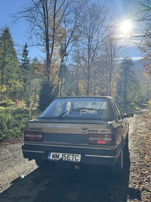 PEUGEOT  1986 — imagine 4