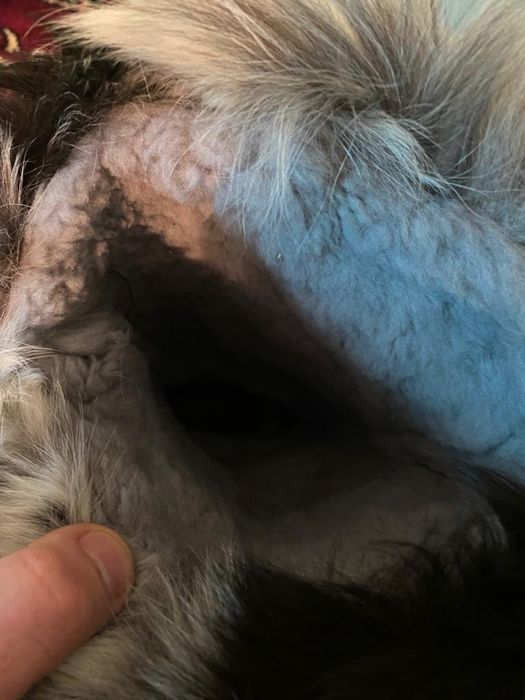 Продам унты