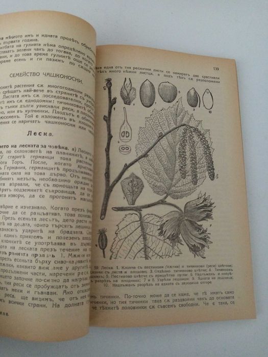 Фитотерапия лечение с билки.Антикварен справочник на бълг курорти и др