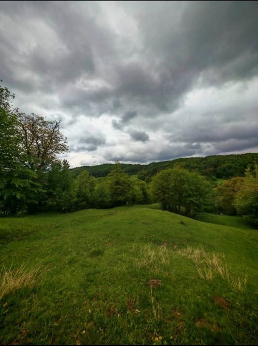 Teren de vânzare Drajna de sus