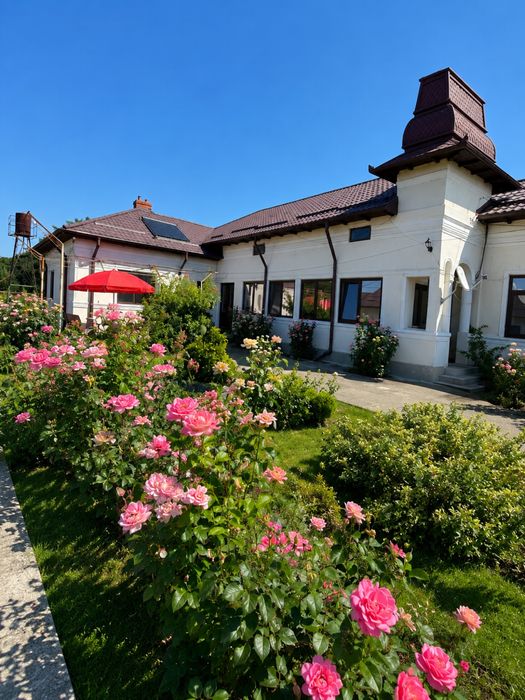 Proprietate cu teren 4.265 mp, casă 186 mp, livadă și anexe – Izbiceni