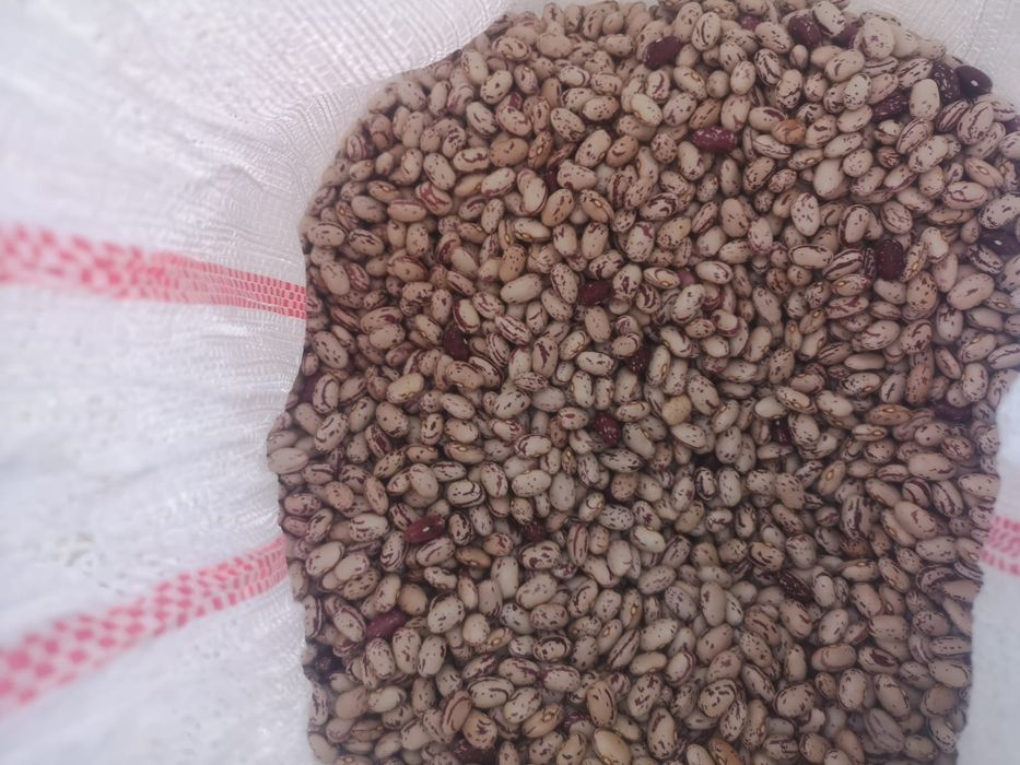 Vând miez jumătăți, mixt,semințe de dovleac,fasole