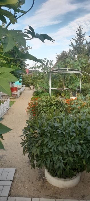 Продам дачу с/о Лада