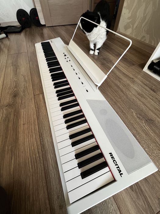 Пианино Alesis Resital
