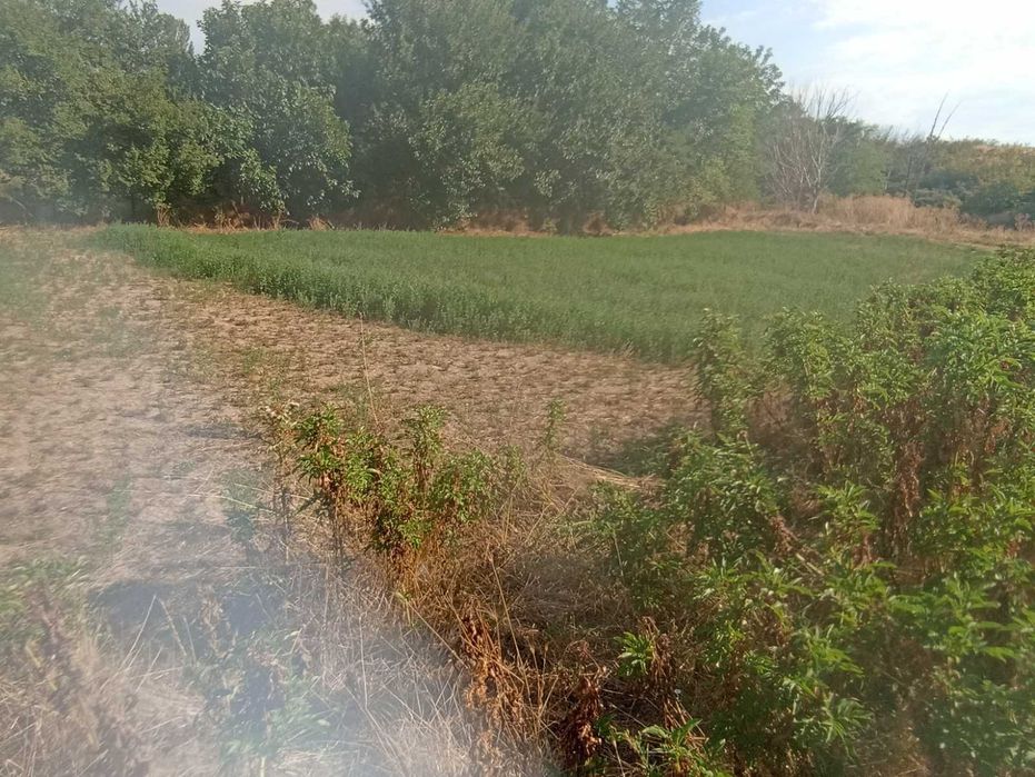 Продава се Парцел в с. Чоба, Област Пловдив - 1540 кв.м за 4 €/кв.м - Снимка #1