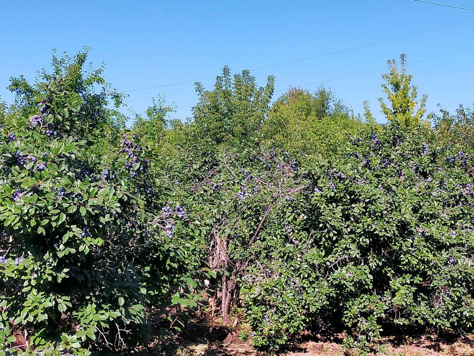 Продам дачу в черте города (район гипермаркет Анвар)