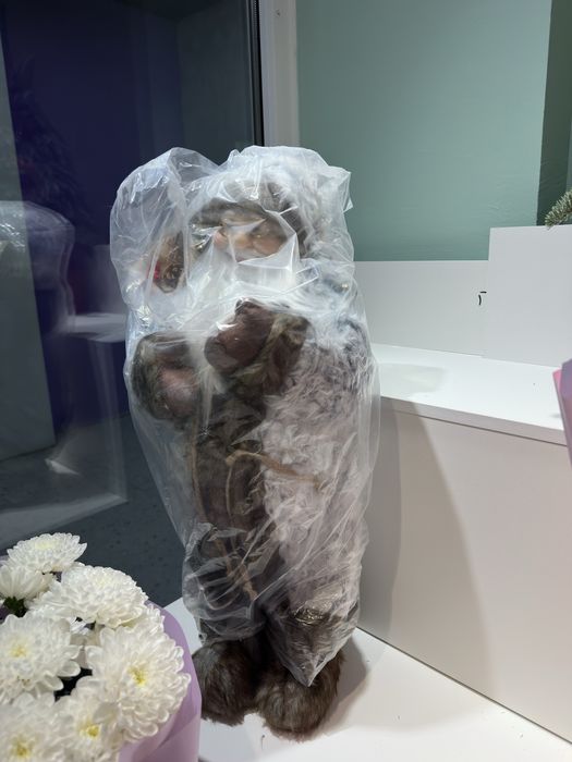 Дед Морозы  новые