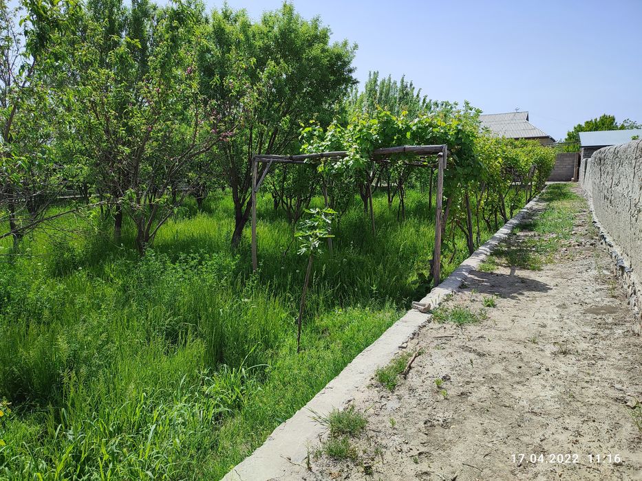 Участок в городе Навои